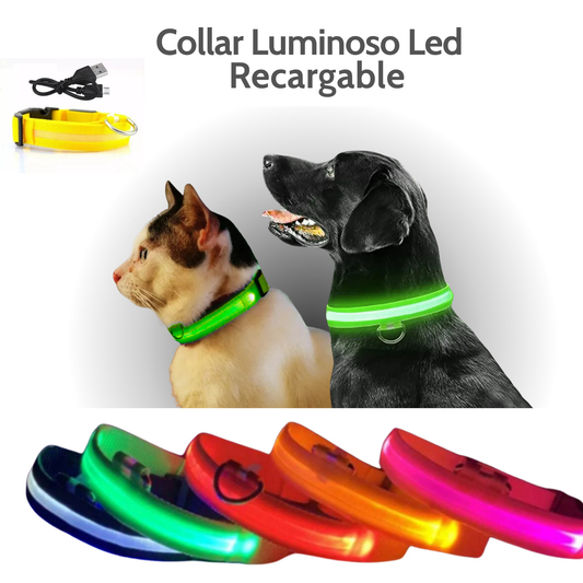 Collar Luminoso LED Recargable para Mascotas