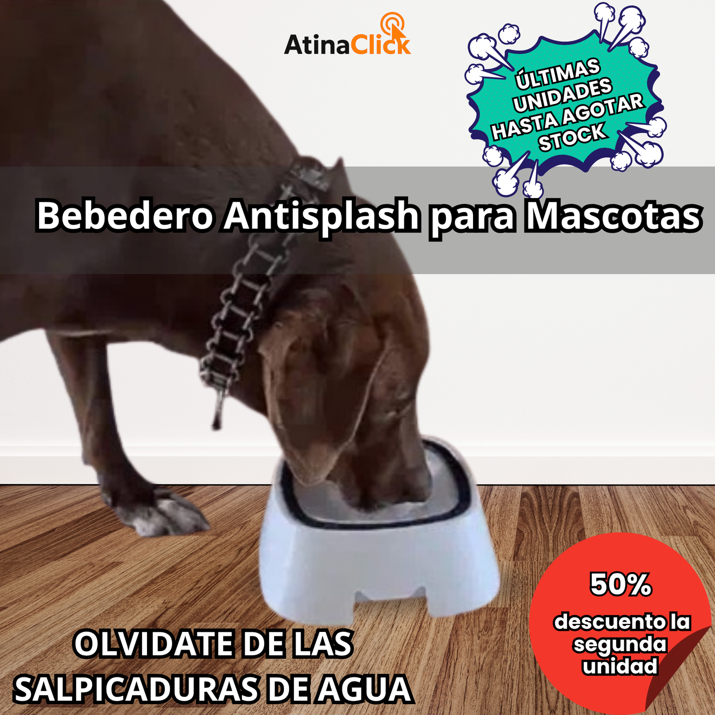 Bebedero Antisplash para Mascotas