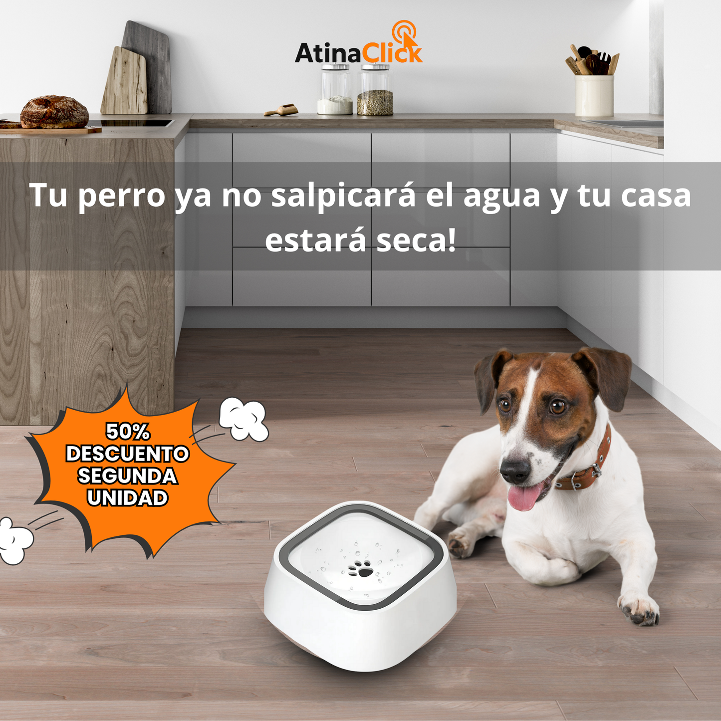 Bebedero Antisplash para Mascotas