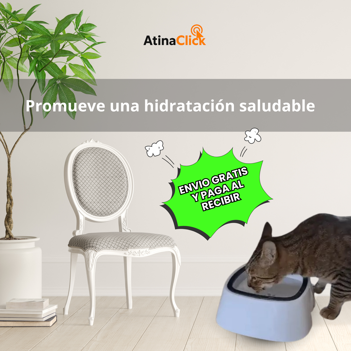 Bebedero Antisplash para Mascotas