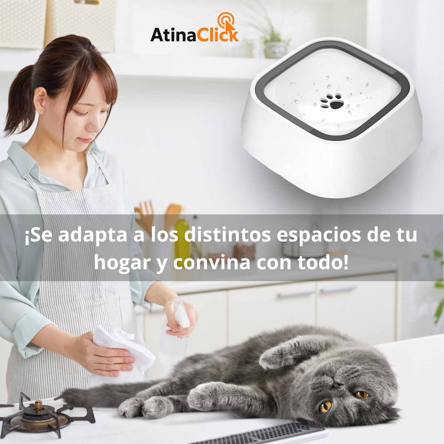 Bebedero Antisplash para Mascotas