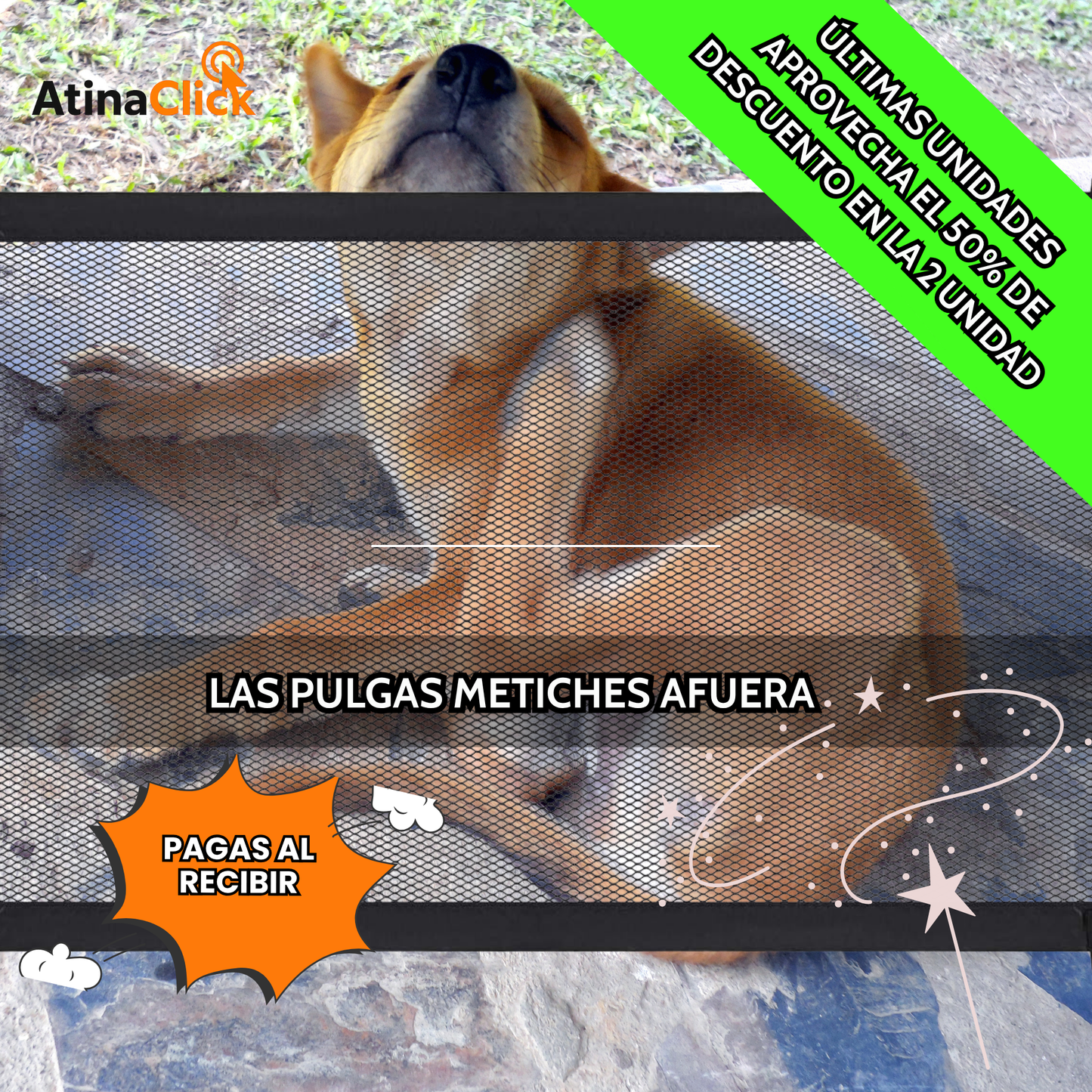 Puerta Mágica para Perros