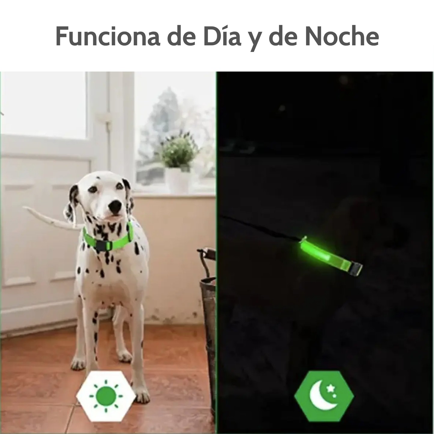 Collar Luminoso LED Recargable para Mascotas