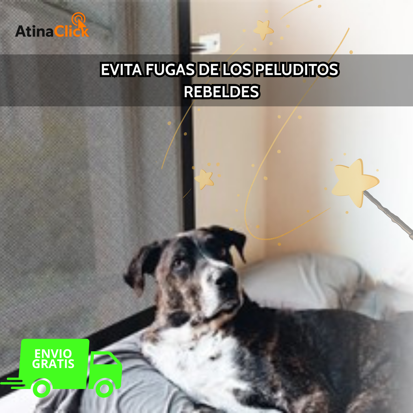 Puerta Mágica para Perros
